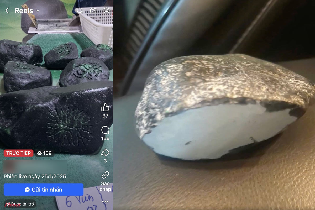 Una transmision en vivo de la "piedra de perlas" de la trampa de los sujetos. Foto de la Policia de Guangning