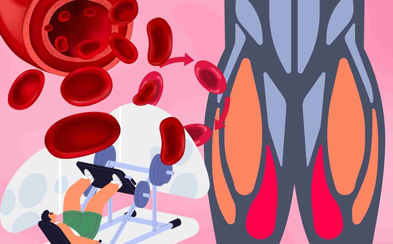 High blood pressure, you should do these leg exercises immediately. Graphics: Dinh Dinh