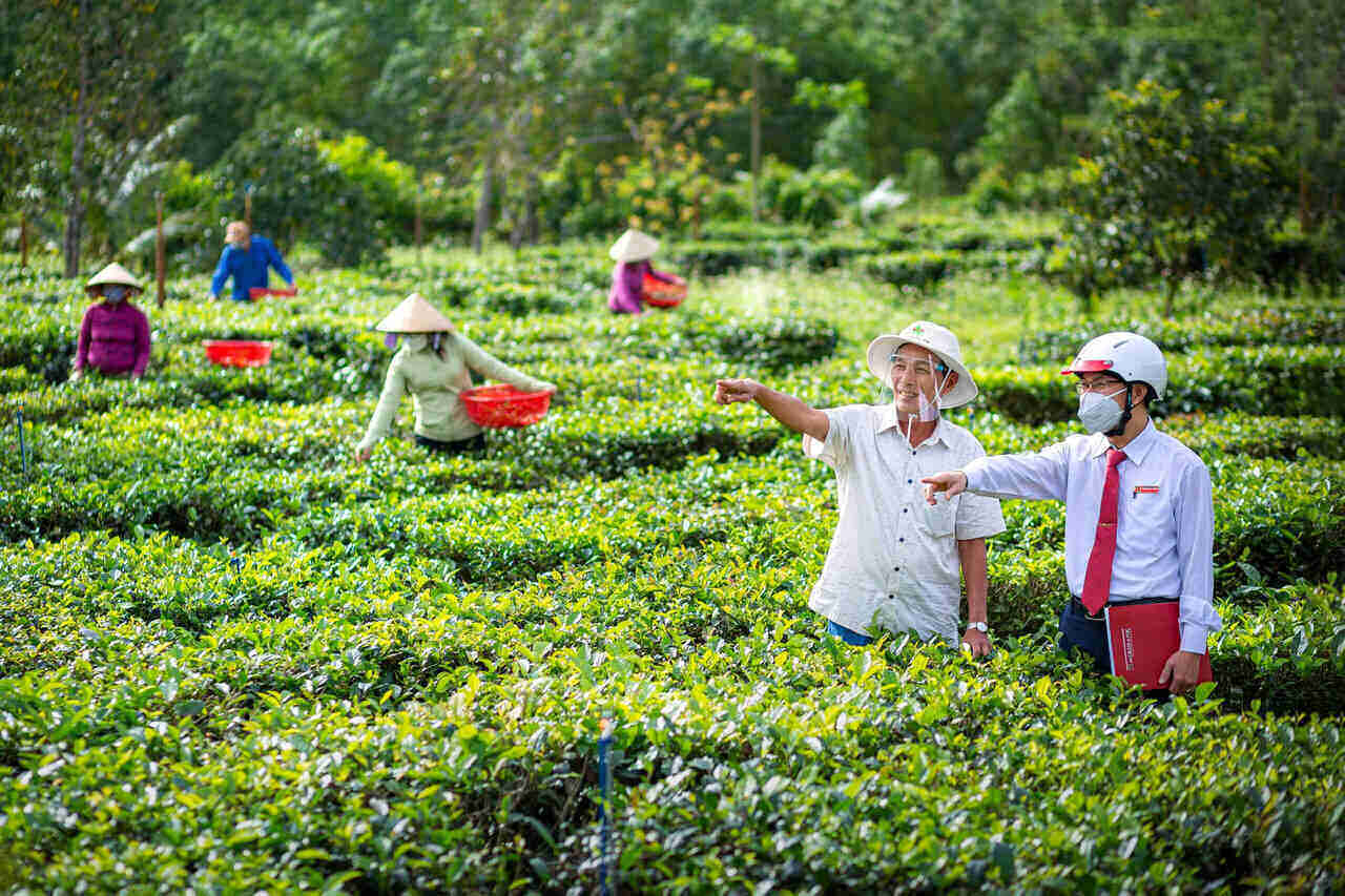 Tu nam 2021 den nay, Agribank da danh tren 2.200.000 ti dong cho cac hoat dong an sinh xa hoi khap cac dia phuong tren ca nuoc.
