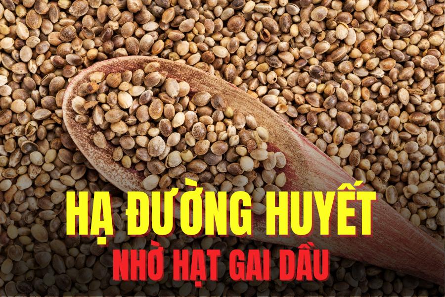 La adicion de semillas de cannabis a una dieta razonable ayuda a reducir la glucosa de manera eficaz. El dibujo: Mi te