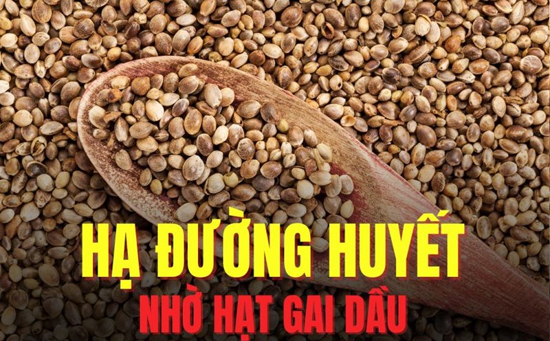 Adding hemp seeds to your diet appropriately helps lower blood sugar effectively. Graphics: Tra My