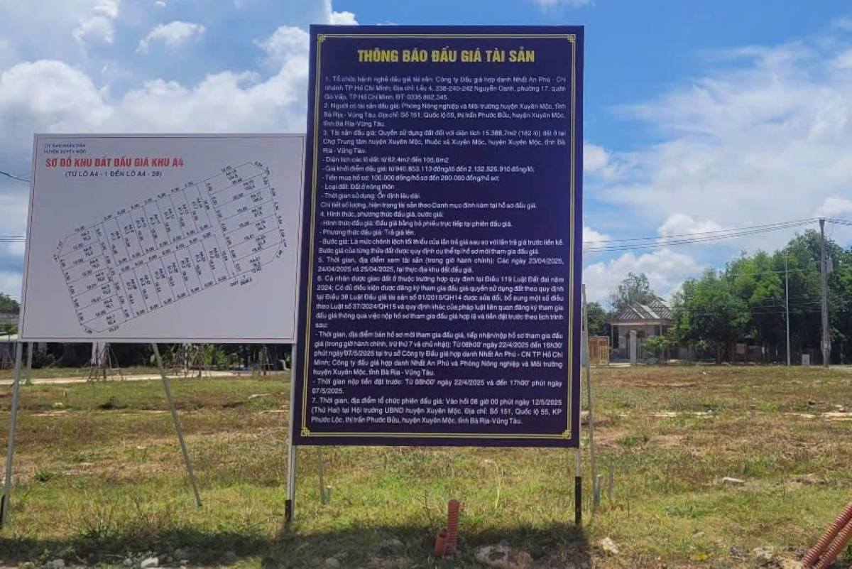 The land where 82 residential plots were located was successfully auctioned. Photo: Hoang Ngoc