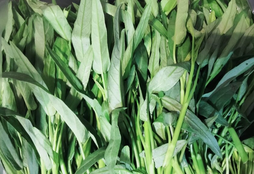 This is a cheap vegetable that is in season and is said to be good for fatty liver disease. Photo: Kieu Vu