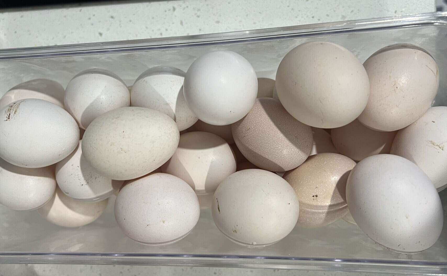 Fatty liver can still eat chicken eggs but must eat them properly. Photo: Kieu Vu