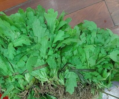 El añadido de verduras tan familiares como la raqueta no solo ayuda a refrescarse en los dias de verano, sino que tambien ayuda a controlar la glucosa y la grasa en la sangre. Foto: Ki-woo. Se puede ver en el video.