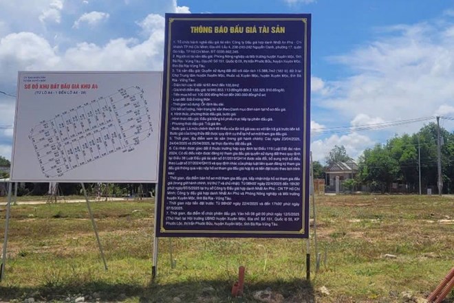 Khu dat noi co 82 lo dat o duoc dau gia thanh cong. Anh: Hoang Ngoc
