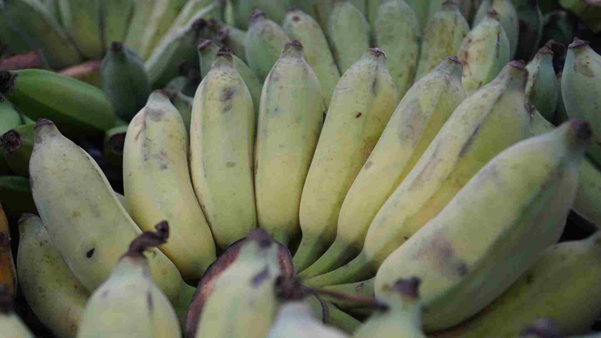 Coma platanos despues de beber bien para la salud. Foto: Ha May