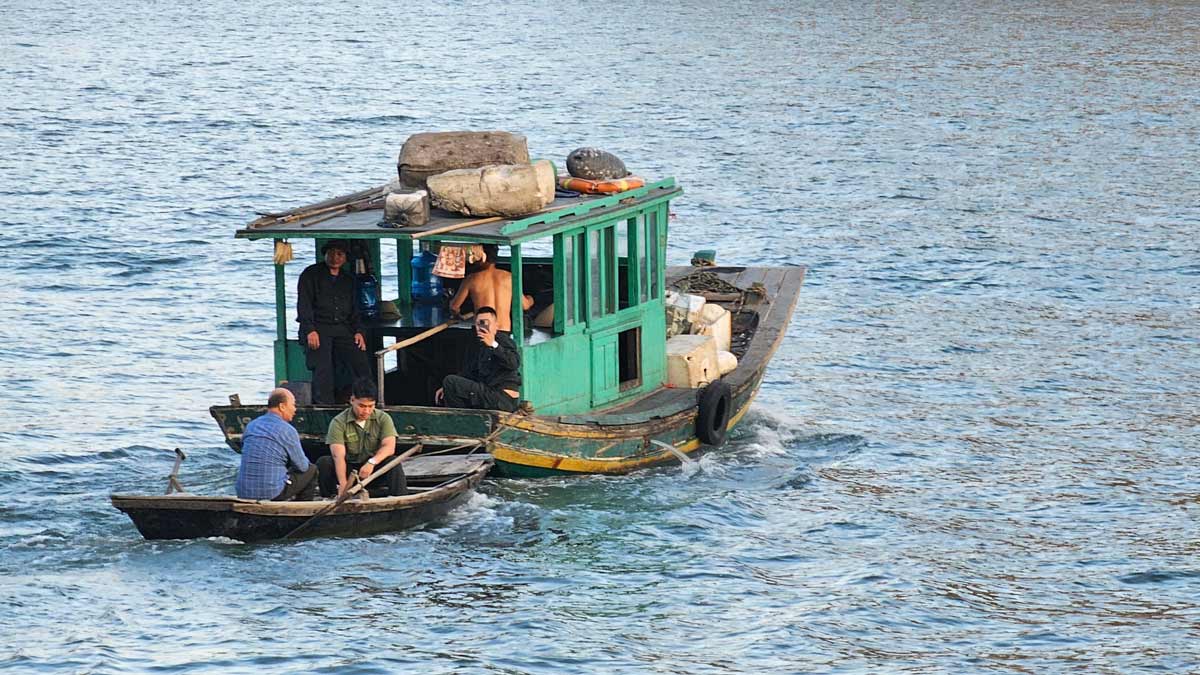 Dua con khi ra dao tra lai moi truong tu nhien. Anh: Doan Hung