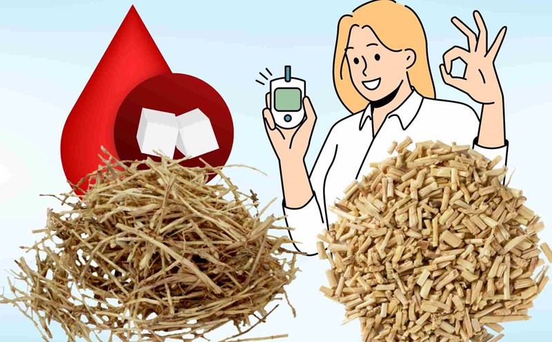 Natural medicine helps stabilize blood sugar, cool down effectively