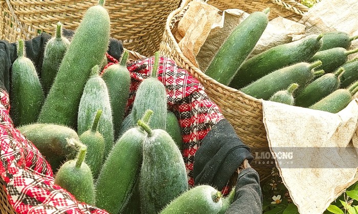 El acido azul puede ayudar a eliminar las toxinas del higado. Imagen de la ciudad de Shanghai