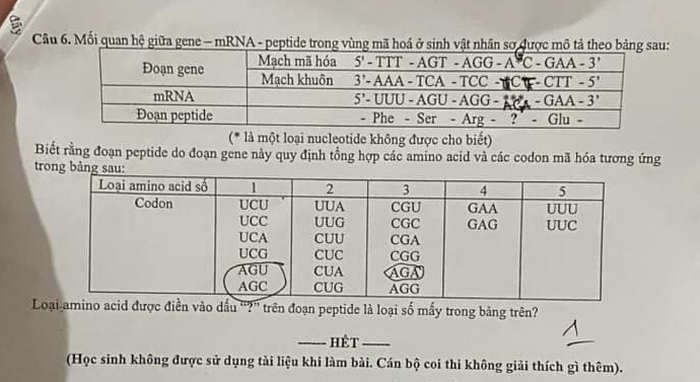 De thi thu mon Sinh tot nghiep THPT 2025 lan 1 - So GDDT Thai Nguyen. Anh: Tuyensinh247