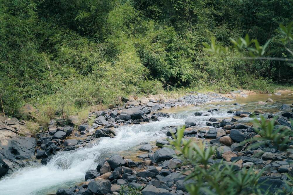 Cach thanh pho Bao Loc 18km ve phia Dong Bac, thac Dambri la mot trong nhung dia diem dep nhung it du khach biet den tai Lam Dong. Khong chi khach du lich, nhung trekker yeu thien nhien, mao hiem cung rat thich chinh phuc Dambri vi khung canh tho mong, hung vi, hoang so.