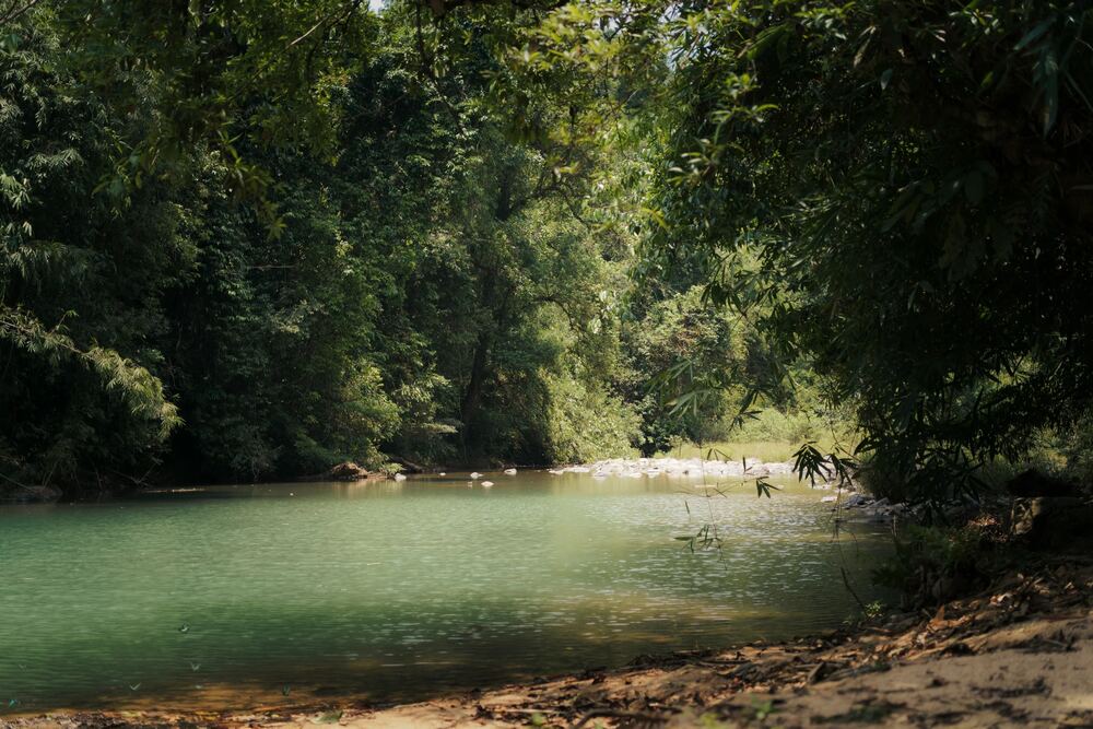 Nu trekker tu nhan minh kha may man khi kip chiem nguong ve dep cua Dambri truoc khi mua mua den. Khi buoc vao thoi diem mua nhieu, nuoc duc, canh vat khong con dep va an toan cho khach du lich nen cac tour trekking se bi tam dung.