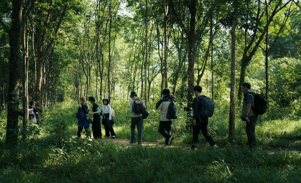 Duong chinh phuc Dambri kha de dang vi dia hinh thoai, khong co bac thang hay doc cao. Ngoai ra, vi trekking trong rung, gan thac nuoc nen khong khi trong lanh, mat me, de chiu.