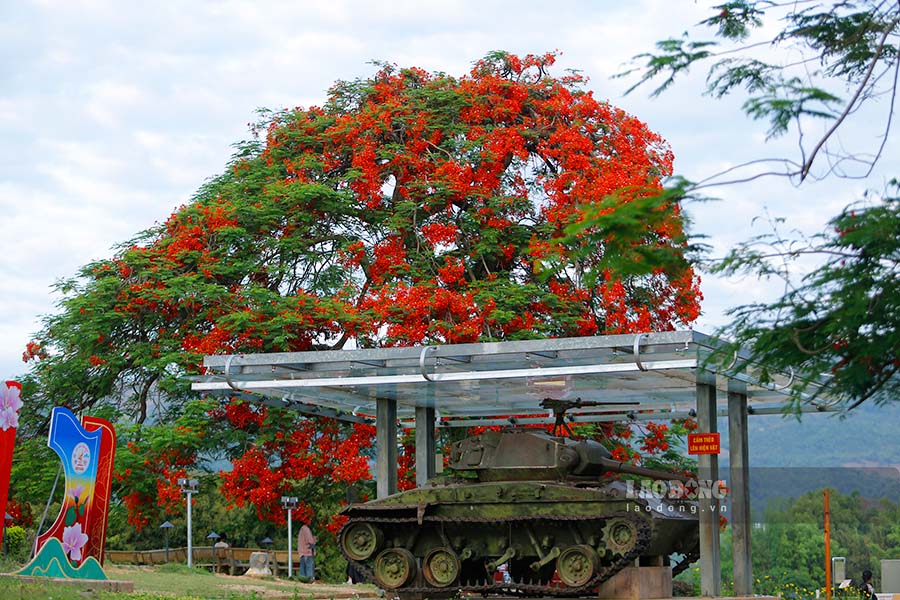 Anh: Quang Dat