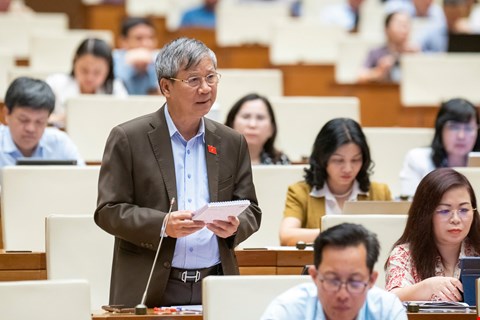 Dai bieu Nguyen Anh Tri cho rang muc loi nhuan
