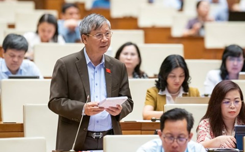 Delegate Nguyen Anh Tri said that the profit level