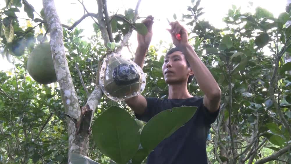 Nguoi dan phat trien kinh te san xuat, xay dung san pham OCOP. Anh: Bao Lam