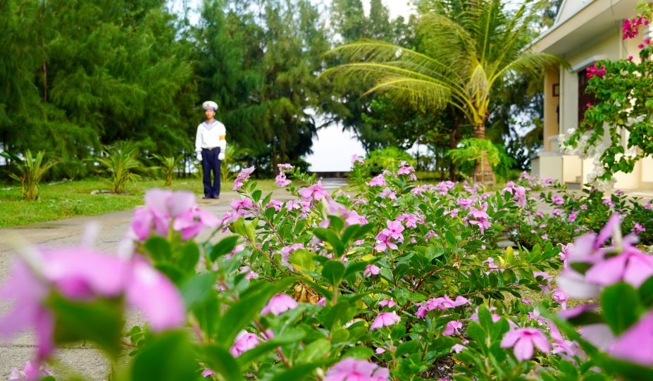 Hoa dua can khoe sac tren dao Sinh Ton (huyen Truong Sa, tinh Khanh Hoa). Anh: Phuong Anh