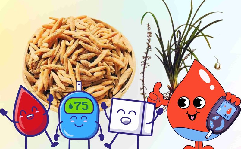 A taste of Chinese medicine helps the body produce insulin, stabilizes blood sugar