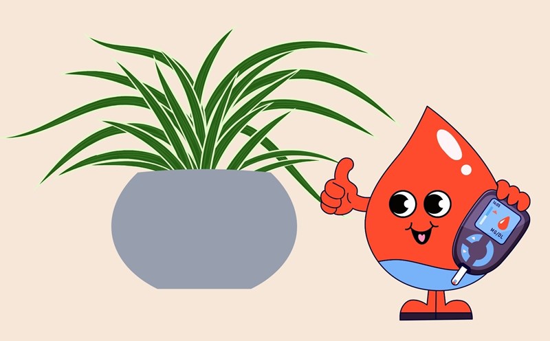 Wild plants in Vietnam help lower blood sugar. Graphics: Linh Dan