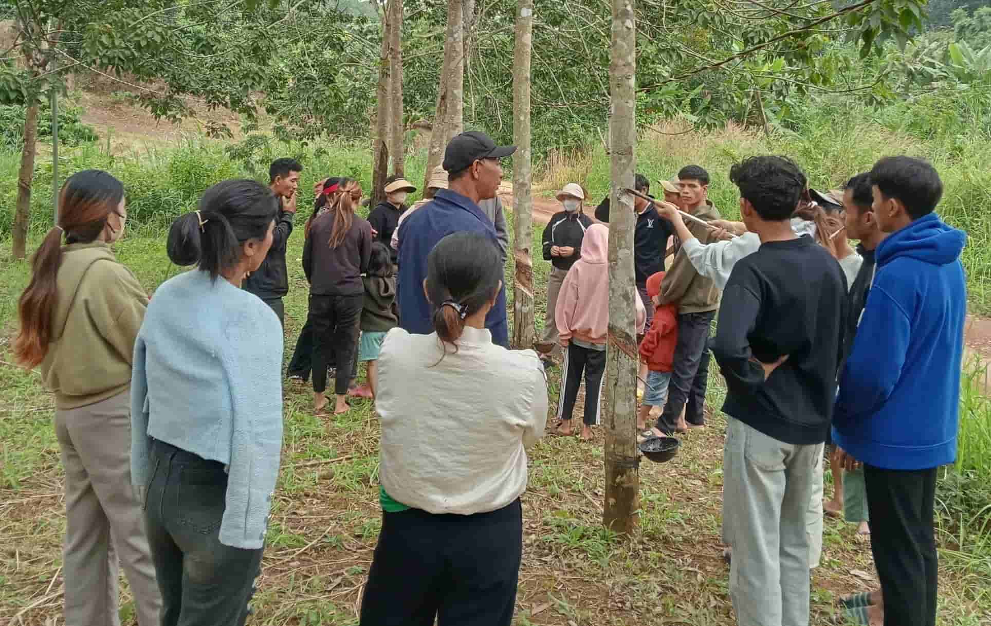 Cac hoc vien quan sat ky thuat cao mu cao su. Anh: Bao Lam