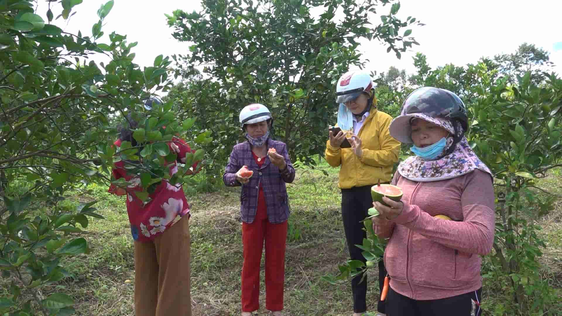 Nguoi dan chu yeu hoc nghe lien quan linh vuc san xuat nong nghiep, trong trot. Anh: Bao Lam