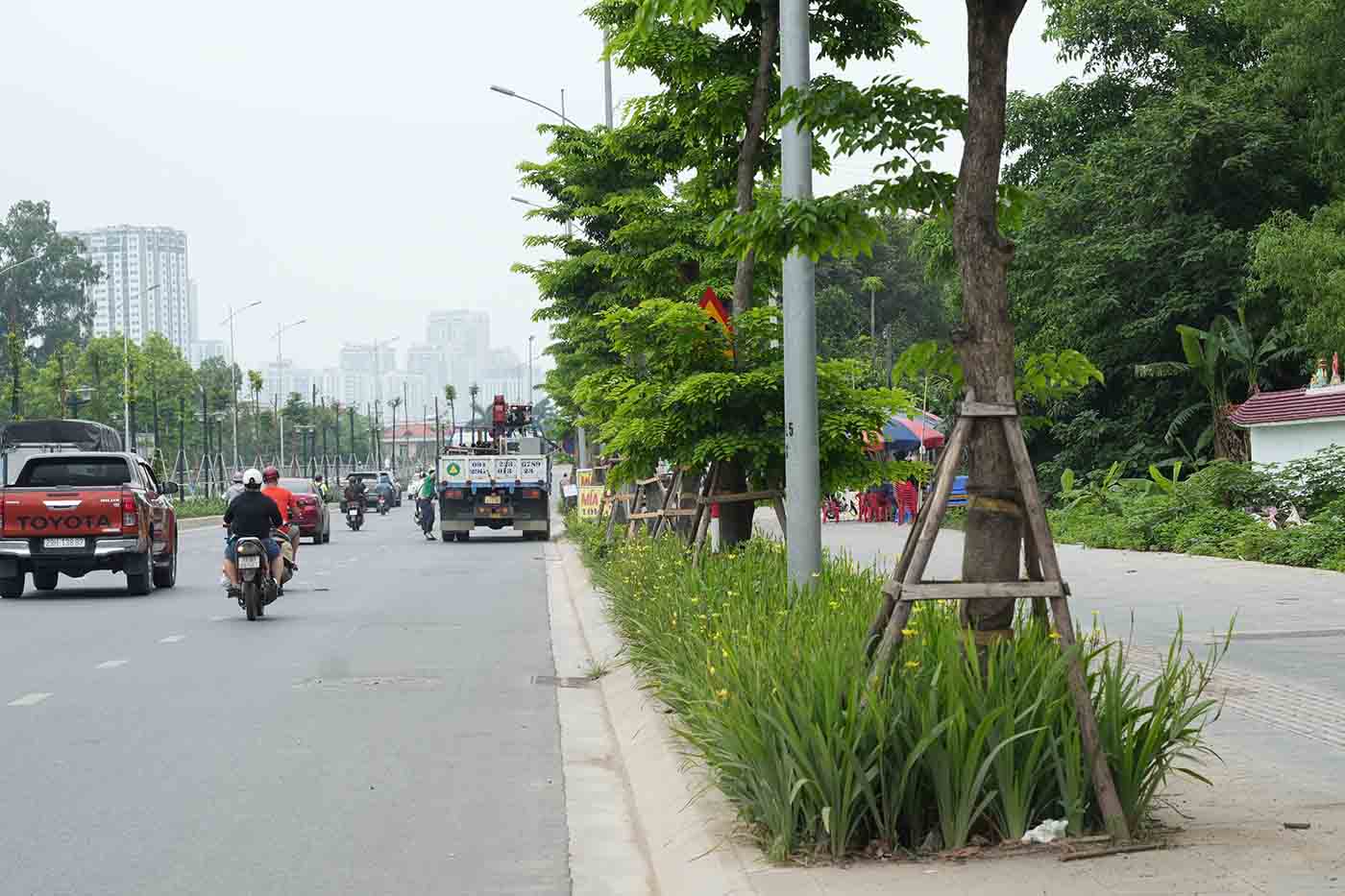 Biển báo giao nhau với đường ưu tiên khuất sau tán cây. Ảnh: Hữu Chánh