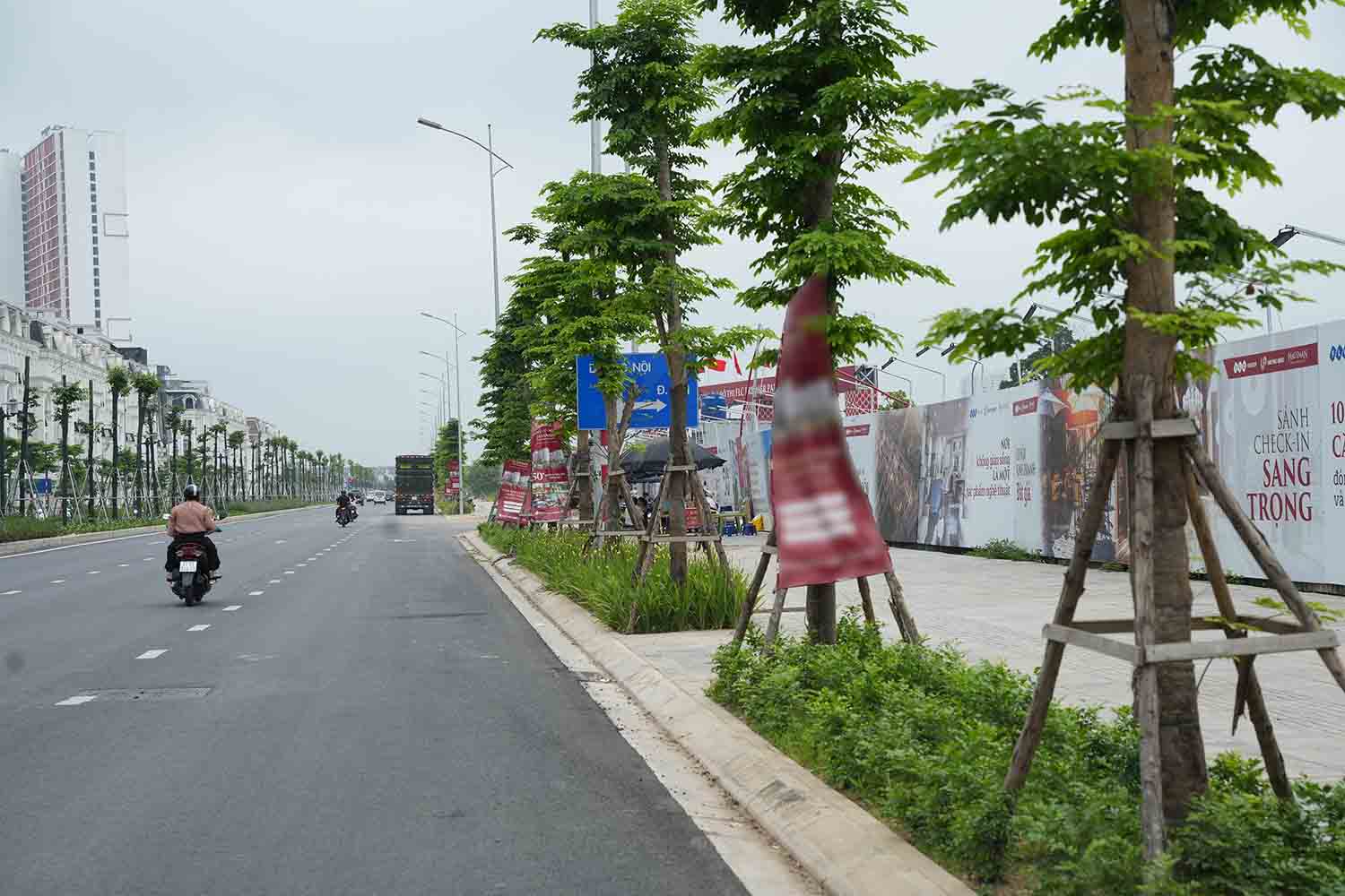 Biển báo giao thông bị che khuất bởi cây xanh trên đường Lê Quang Đạo kéo dài. Ảnh: Hữu Chánh