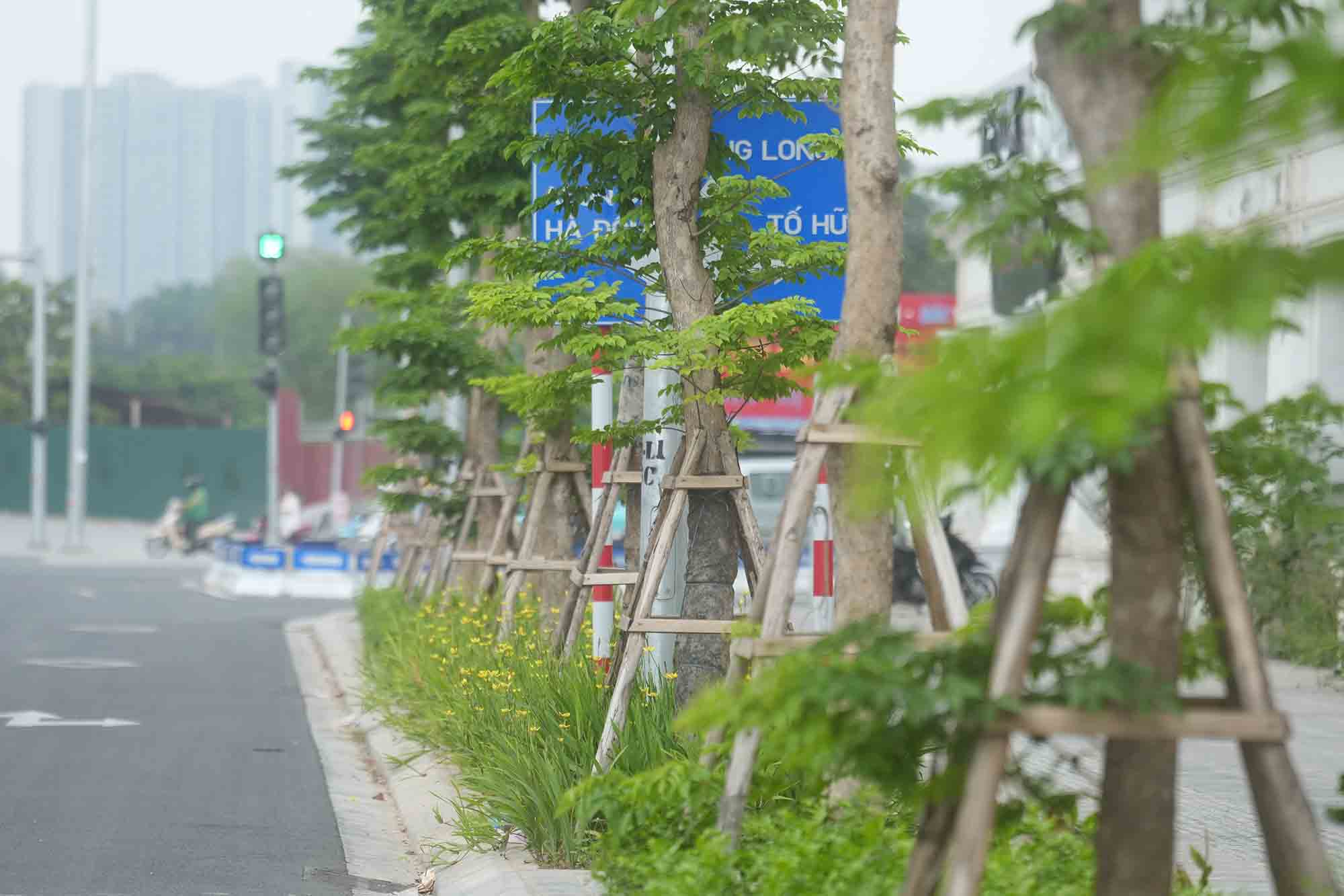 Biển báo giao thông bị che khuất bởi cây xanh trên đường Lê Quang Đạo kéo dài. Ảnh: Hữu Chánh