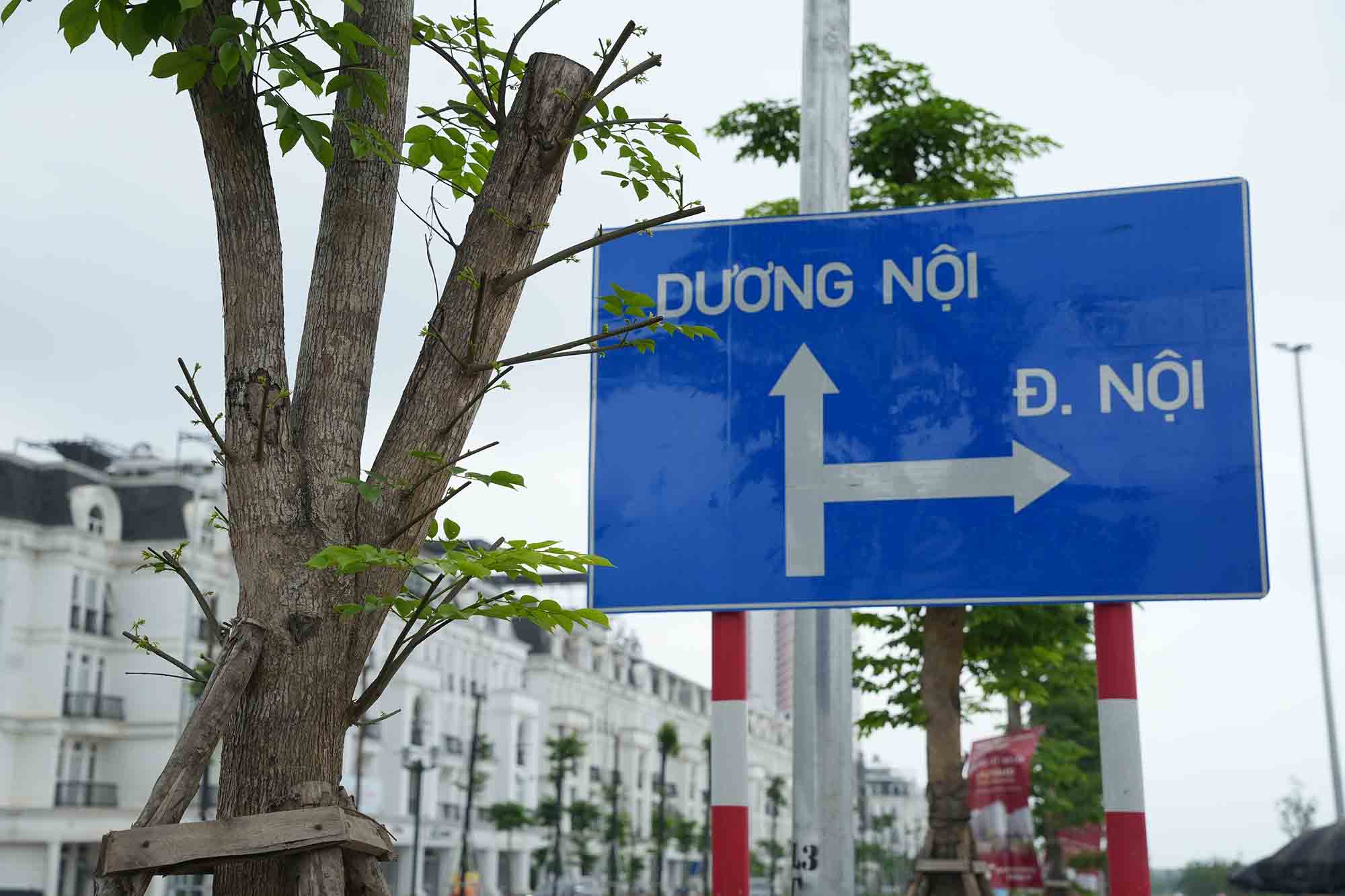 Chỉ khi lại rất gần, người đi đường mới thấy rõ nội dung ghi trên biển báo. Ảnh: Hữu Chánh