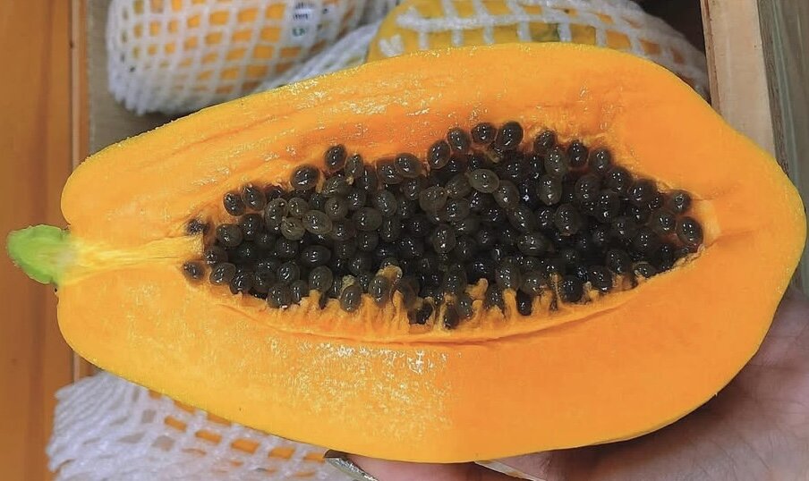 Hay notas para las amas de casa al agregar papaya a la dieta para apoyar la hipoglucemia. Foto: Kieu Vu