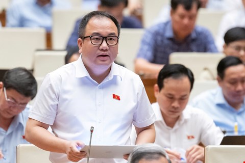Đại biểu Phạm Trọng Nghĩa góp ý vào dự thảo Nghị quyết 