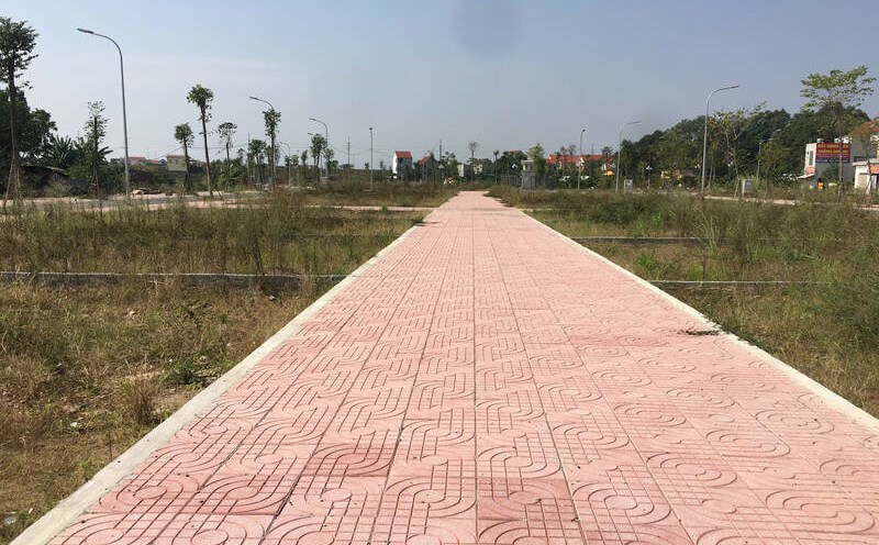 The segment of subdivided land plots under VND3 billion/plot in the suburbs of Hanoi is attracting many investors. Photo: Thu Giang