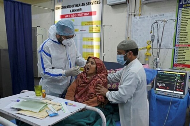 Tailandia registro el numero de Macadamia de cobertura-19. Foto: AFP