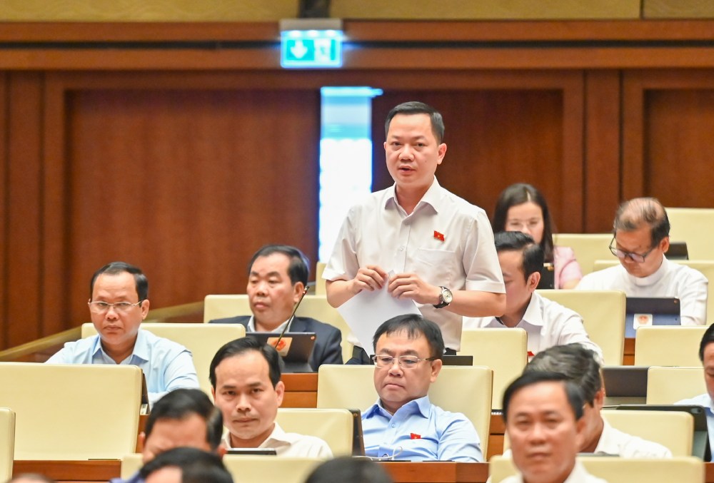 Đại biểu Trịnh Xuân An phát biểu. Ảnh: Phạm Đông