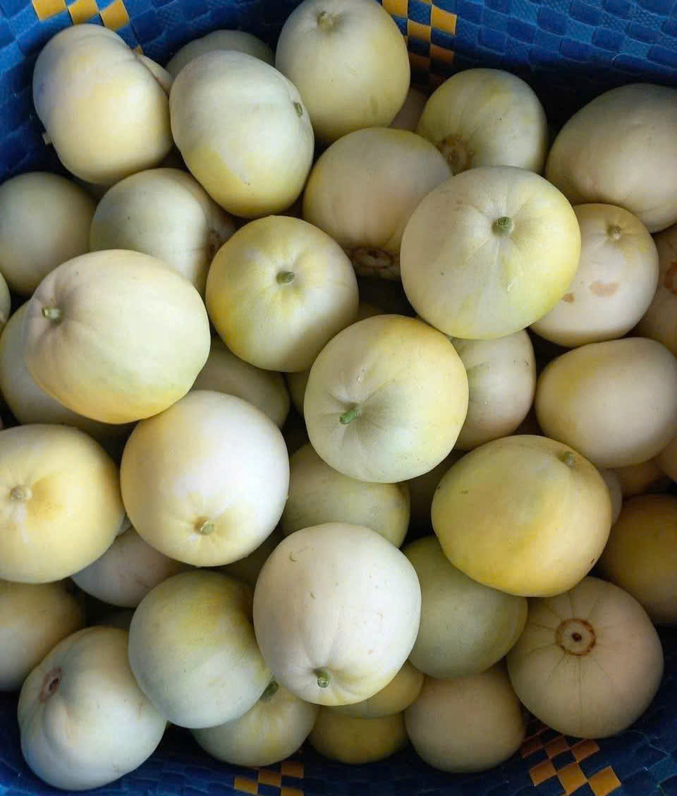 Eating melon properly can control blood sugar levels. Photo: Quang Minh.