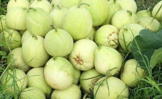 Watermelon can help lower blood pressure naturally. Photo: Kieu Vu