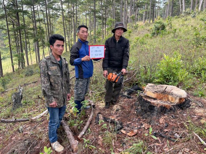 Los sujetos en el caso de la explotacion de bosques de pinos ilegales. Foto: Lam Hong