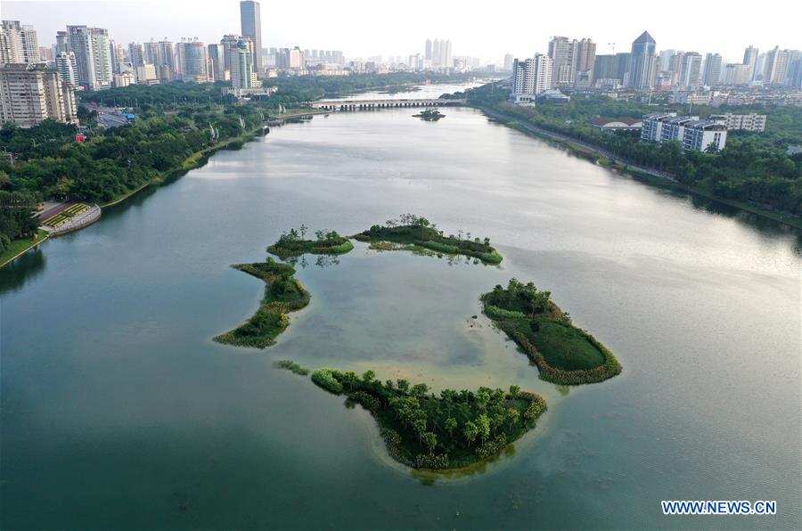 La escena en Nanning, provincia de Guangxi, China. Foto: Xinhua