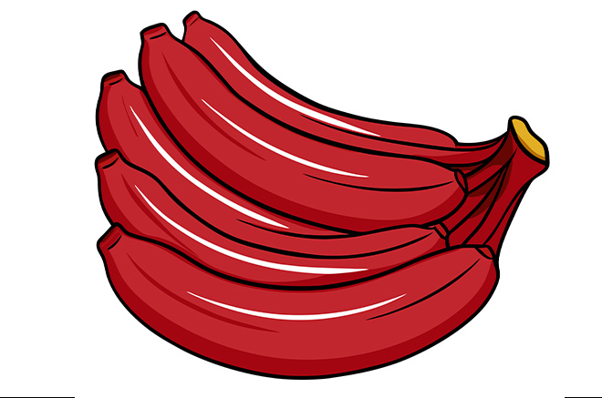 Los platanos rojas traen grandes beneficios para la salud del corazon gracias al potasio, fibra y antioxidantes. Grafico: Thien Nhan