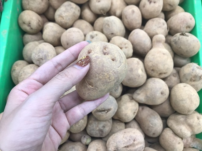 Potatoes can help stabilize blood pressure. Photo: Thanh Thanh