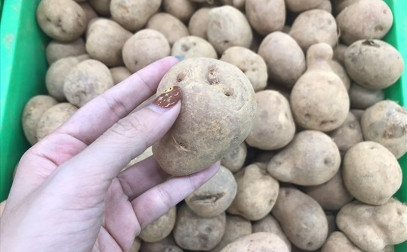 Potatoes can help stabilize blood pressure. Photo: Thanh Thanh