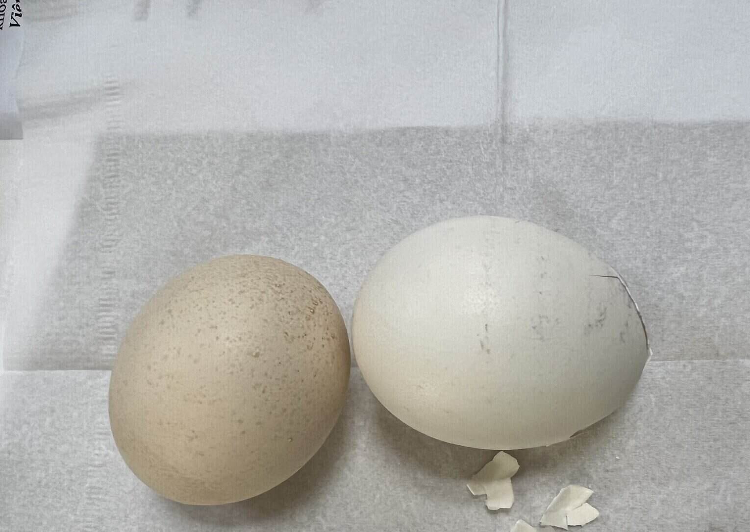 Eating eggs properly will not worry about increased uric acid. Photo: Kieu Vu