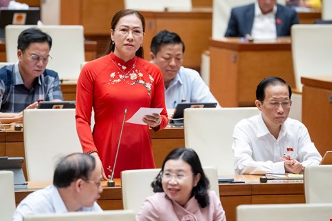 Đại biểu Nguyễn Thị Yến Nhi - Đoàn ĐBQH tỉnh Bến Tre. Ảnh: Quochoi
