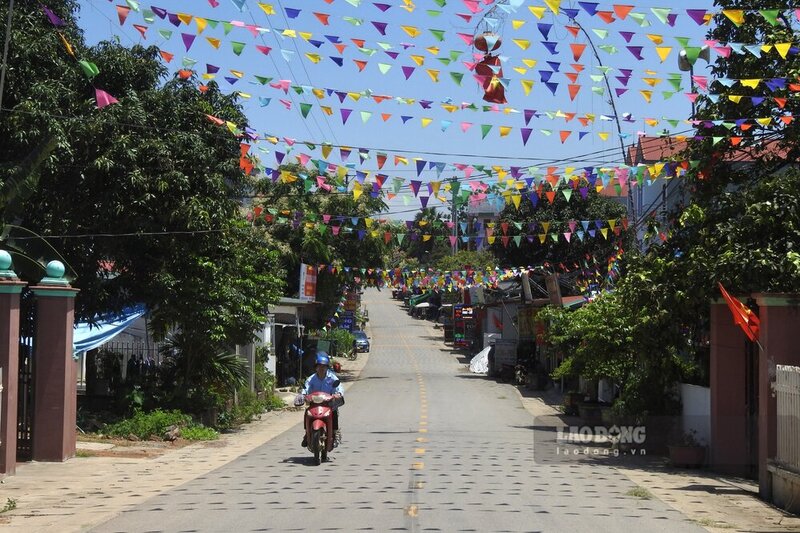 Tuyen duong nay co hoa giang kin. Anh: To Cong.