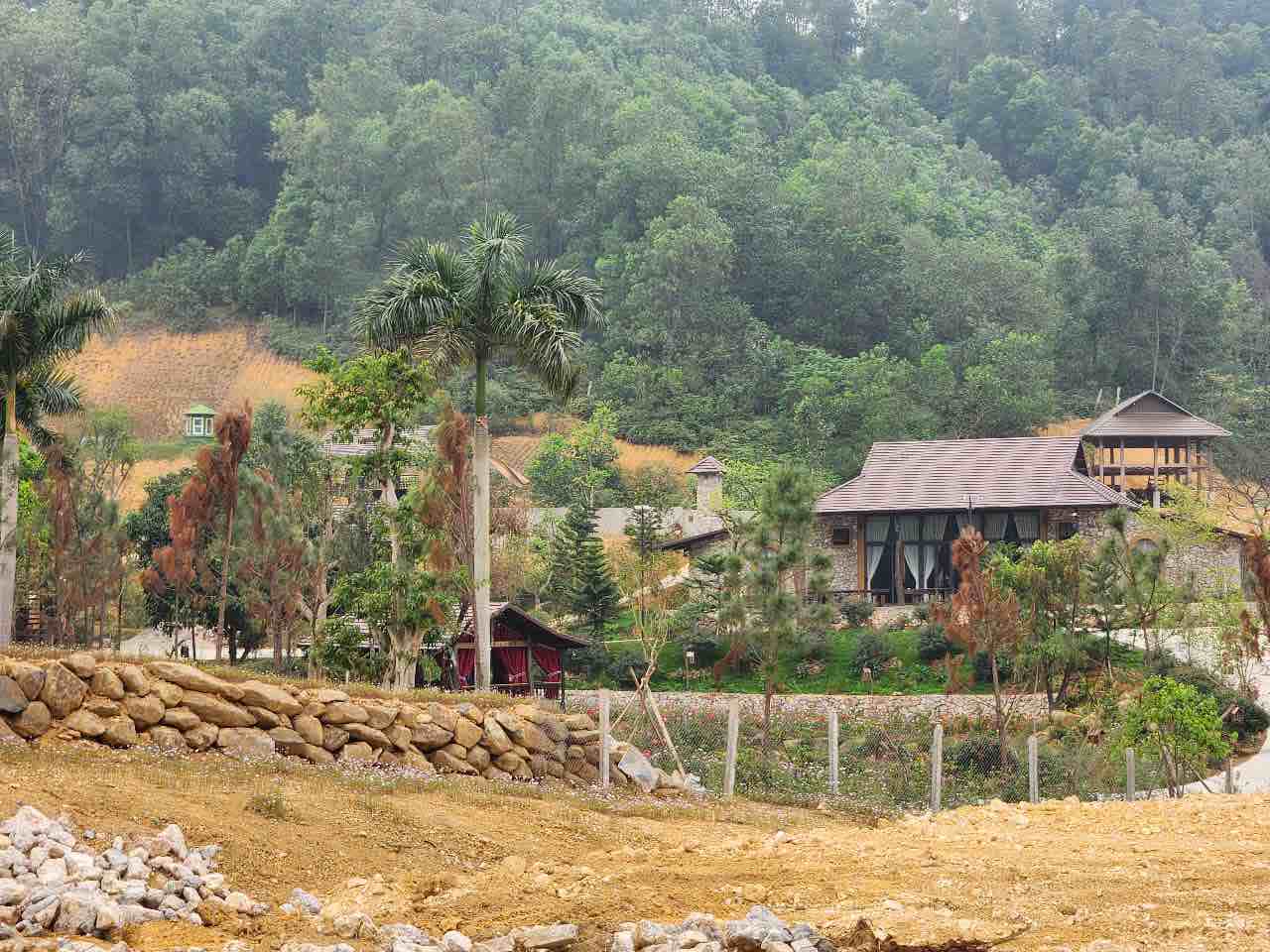 The Chairman of Hanoi ordered an inspection of information about the encroachment project on forest land in Thach That. Photo: Vy Vy