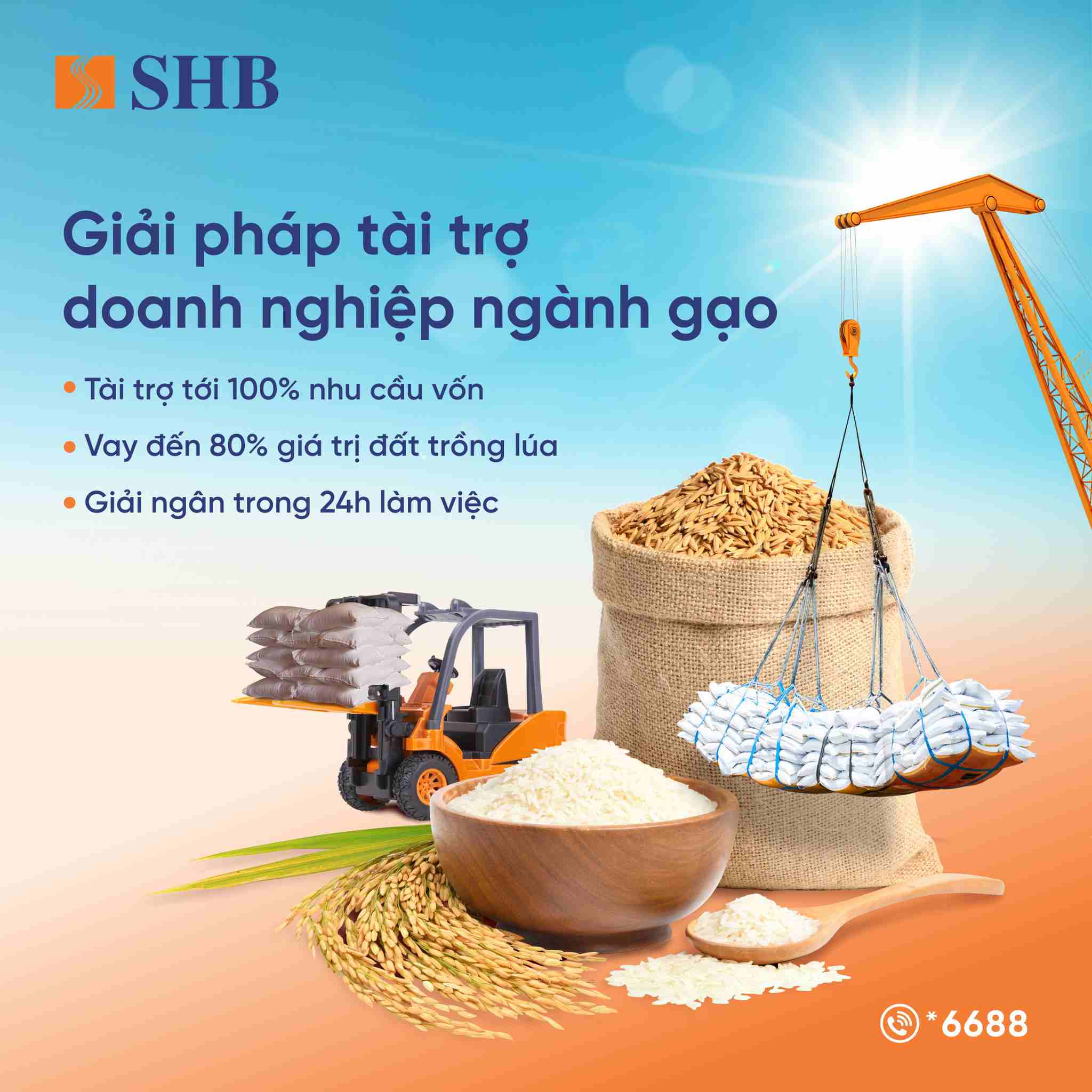SHB launches flexible financing solutions for the rice industry, accompanying the Government in developing sustainable agriculture. Photo: SHB