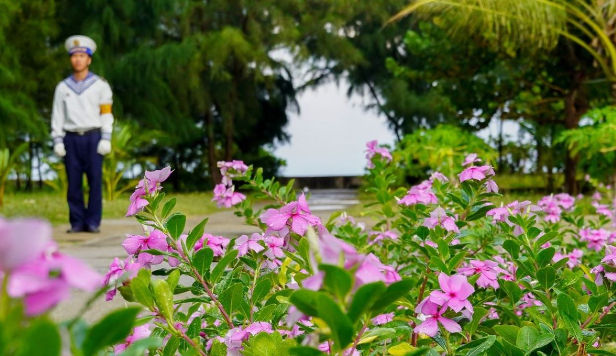Tai dao Sinh Ton, cay xanh the hien suc song dung nhu ten goi cua dao. Mac du sinh truong tren nen cat kho can nhung nhung vuon hoa dua can van luon ruc ro khoe sac.