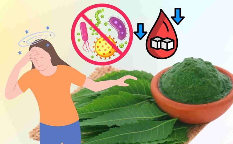 Surry leaves do not taste the herbal medicine khac with bacteria, lower blood sugar